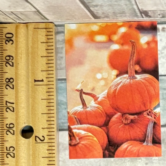 🌀10/$10🌀 Autumn Reusable Washi Sticker Decal - Picture 1 of 1